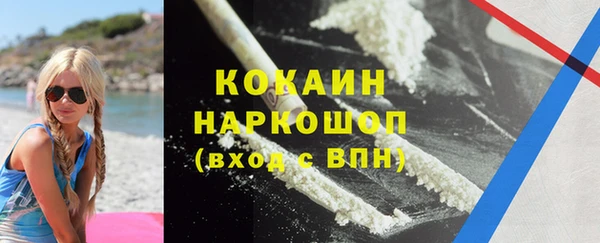индика Заволжье