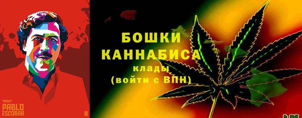 индика Заволжье