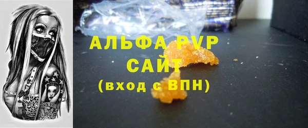 индика Заволжье