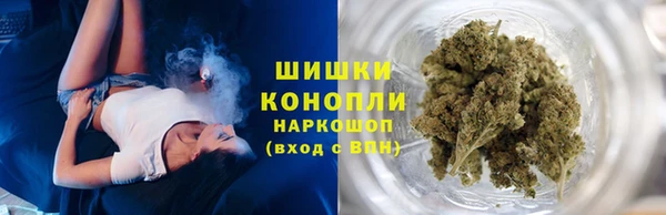 индика Заволжье
