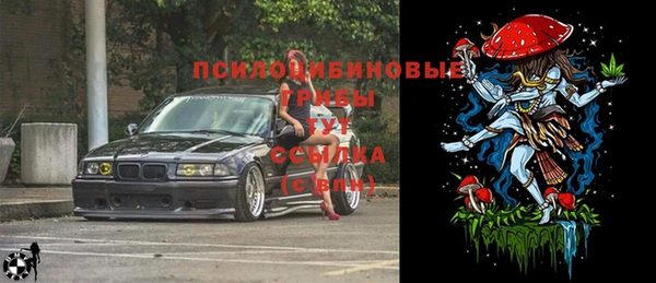индика Заволжье