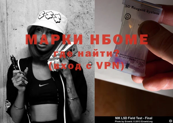 индика Заволжье
