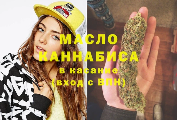 индика Заволжье