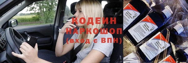 индика Заволжье