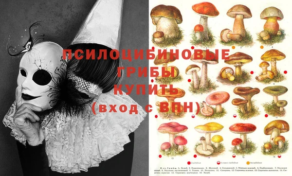 индика Заволжье