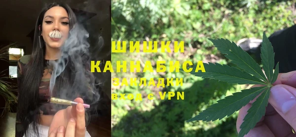 индика Заволжье