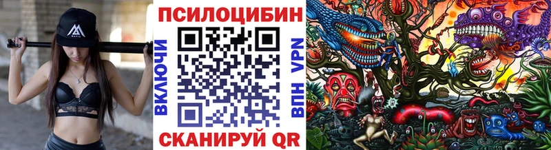 Галлюциногенные грибы Cubensis  Купить закладки  Пермь 